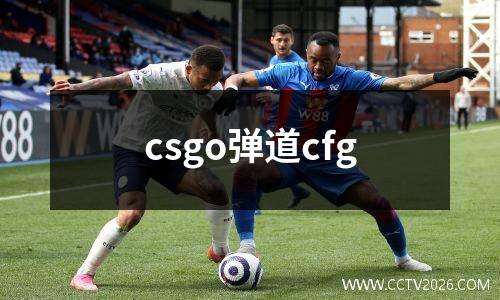 csgo弹道cfg