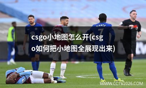 csgo小地图怎么开(csgo如何把小地图全展现出来)