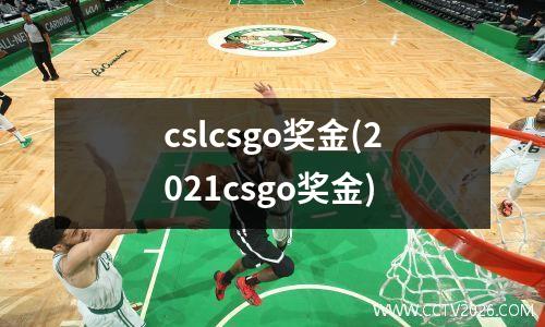 cslcsgo奖金(2021csgo奖金)