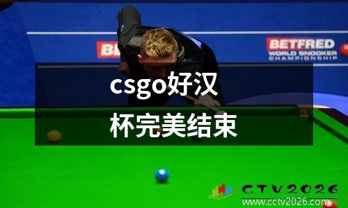 csgo好汉杯完美结束
