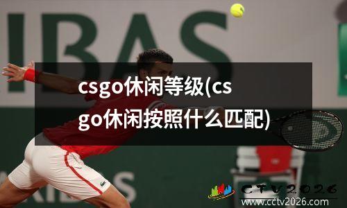 csgo休闲等级(csgo休闲按照什么匹配)
