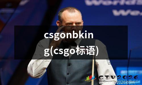 csgonbking(csgo标语)