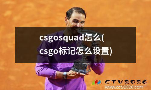 csgosquad怎么(csgo标记怎么设置)