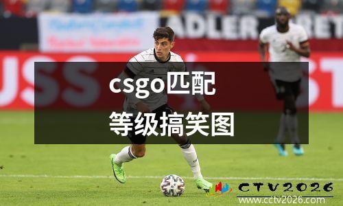 csgo匹配等级搞笑图