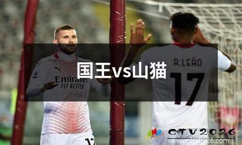 国王vs山猫