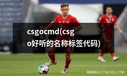 csgocmd(csgo好听的名称标签代码)
