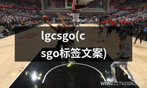 lgcsgo(csgo标签文案)