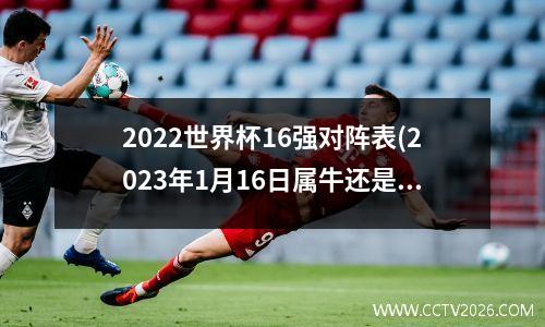 2022世界杯16强对阵表(2023年1月16日属牛还是属虎)