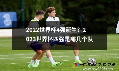 2022世界杯4强诞生？2023世界杯四强是哪几个队