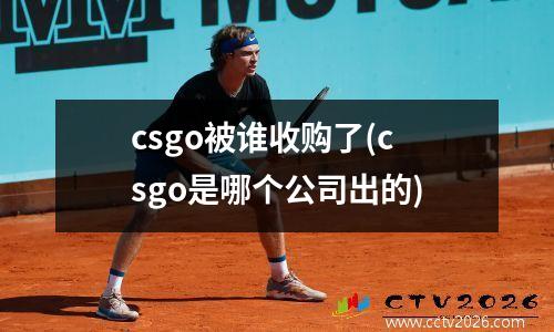 csgo被谁收购了(csgo是哪个公司出的)