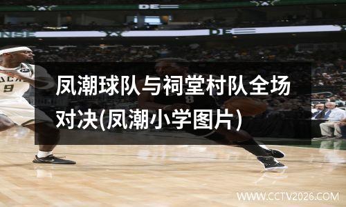 凤潮球队与祠堂村队全场对决(凤潮小学图片)