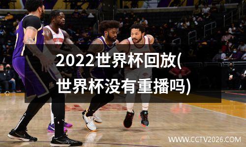 2022世界杯回放(世界杯没有重播吗)