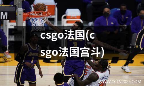 csgo法国(csgo法国宫斗)
