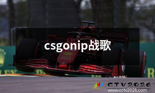 csgonip战歌