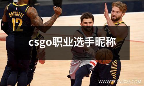 csgo职业选手昵称