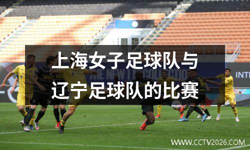上海女子足球队与辽宁足球队的比赛