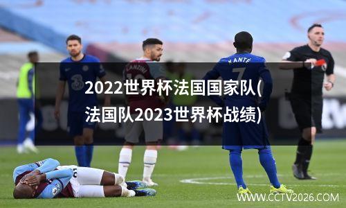 2022世界杯法国国家队(法国队2023世界杯战绩)