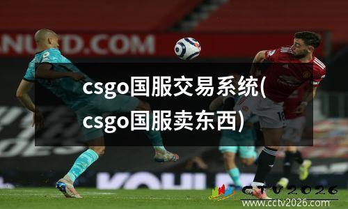 csgo国服交易系统(csgo国服卖东西)