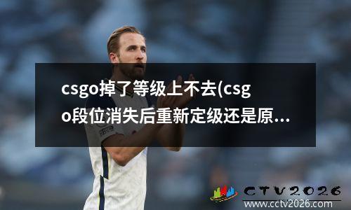 csgo掉了等级上不去(csgo段位消失后重新定级还是原来的段位吗)
