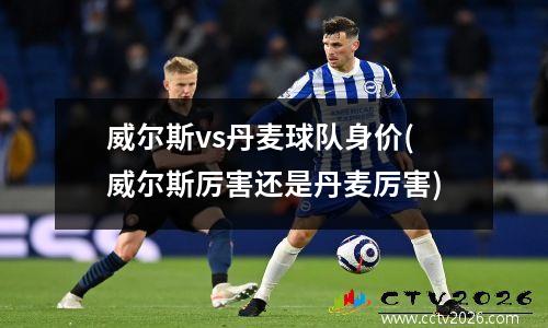 威尔斯vs丹麦球队身价(威尔斯厉害还是丹麦厉害)