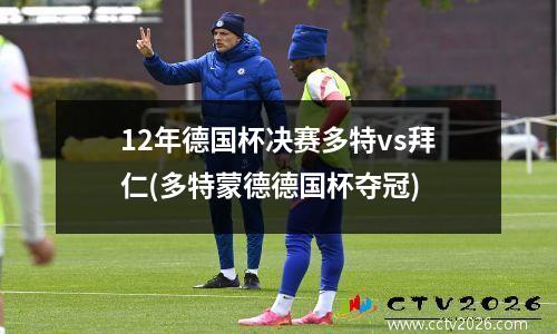 12年德国杯决赛多特vs拜仁(多特蒙德德国杯夺冠)