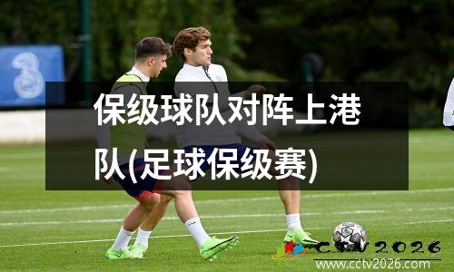 保级球队对阵上港队(足球保级赛)