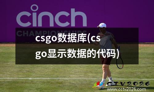 csgo数据库(csgo显示数据的代码)