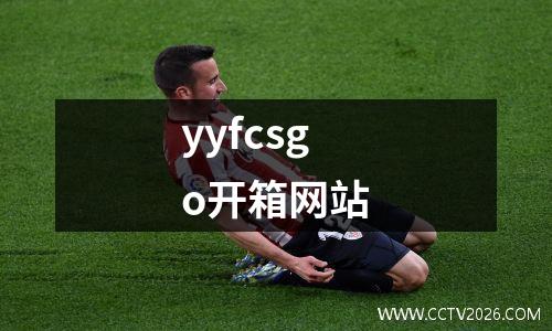 yyfcsgo开箱网站