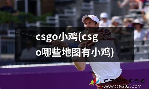 csgo小鸡(csgo哪些地图有小鸡)