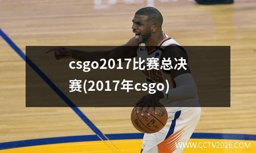 csgo2017比赛总决赛(2017年csgo)