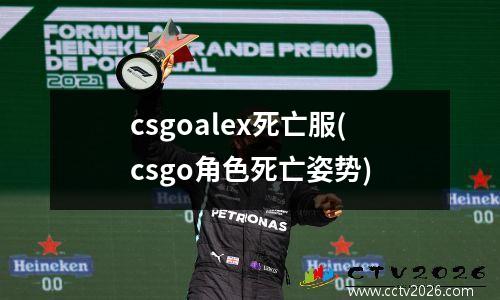 csgoalex死亡服(csgo角色死亡姿势)