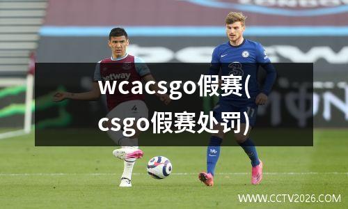 wcacsgo假赛(csgo假赛处罚)