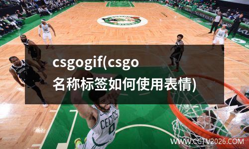 csgogif(csgo名称标签如何使用表情)
