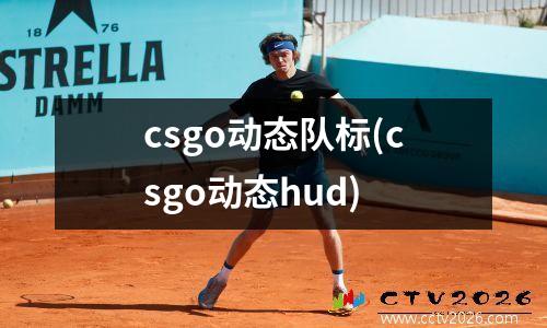 csgo动态队标(csgo动态hud)