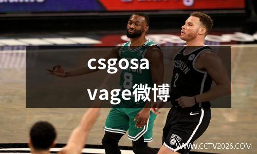 csgosavage微博