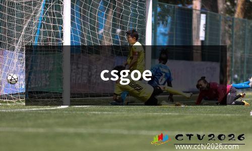 csgoe