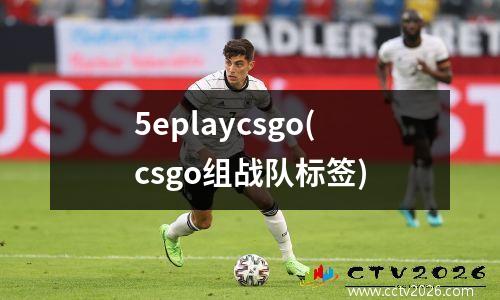 5eplaycsgo(csgo组战队标签)