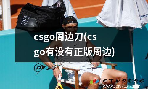 csgo周边刀(csgo有没有正版周边)