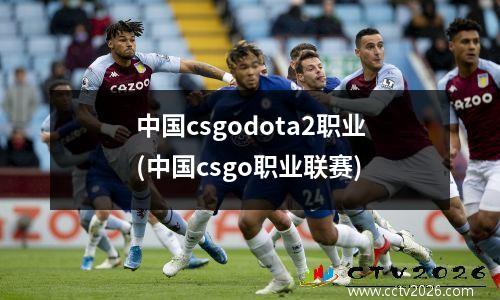 中国csgodota2职业(中国csgo职业联赛)