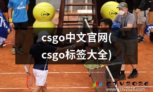 csgo中文官网(csgo标签大全)