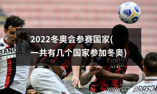 2022冬奥会参赛国家(一共有几个国家参加冬奥)