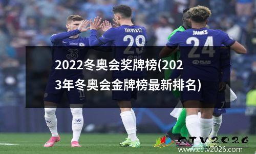 2022冬奥会奖牌榜(2023年冬奥会金牌榜最新排名)