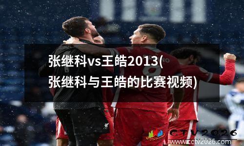 张继科vs王皓2013(张继科与王皓的比赛视频)