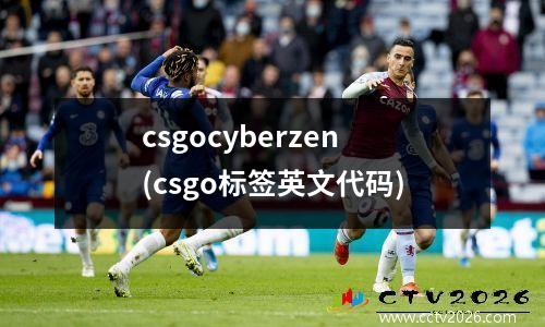 csgocyberzen(csgo标签英文代码)