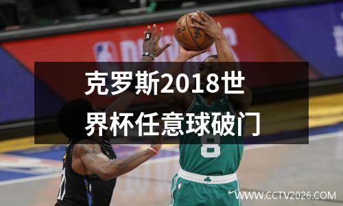 csgonavi战队