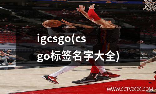 igcsgo(csgo标签名字大全)