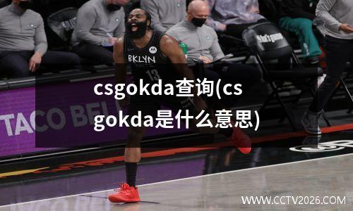 csgokda查询(csgokda是什么意思)