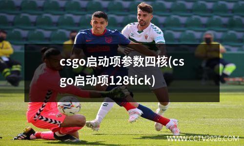 csgo启动项参数四核(csgo启动项128tick)