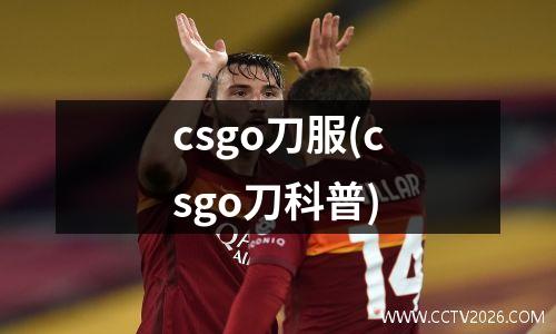卡塔尔vs巴勒斯坦足球队(卡塔尔vs巴拿马比分预测)