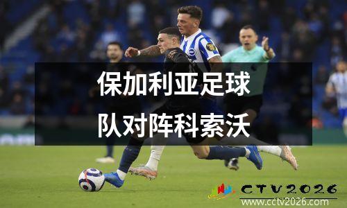 保加利亚足球队对阵科索沃